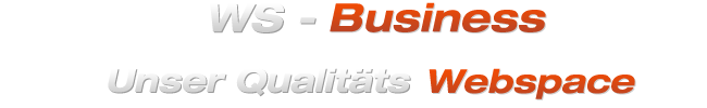 WS - Business, der Qualitäts Webspace